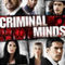 Criminal Minds Season 9 DVD Box Set-Chritsmad Gift for Friends